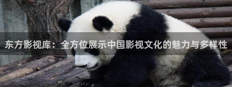 僵尸先生星辰影院：东方影视库：全方位展示中国影视文化的魅力与多样性