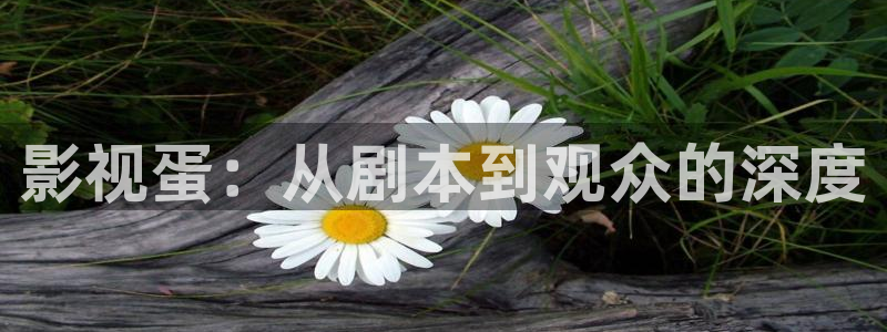 神马影院在线观看星辰：影视蛋：从剧本到观众的深度