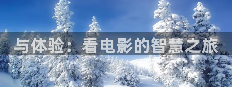星辰影院策驰：与体验：看电影的智慧之旅