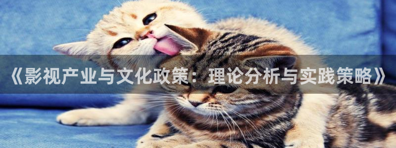 滤镜免费观看星辰影院：《影视产业与文化政策：理论分析与实践策略》