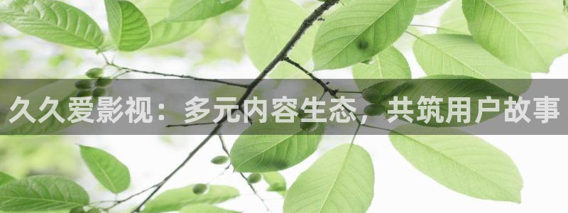 星辰影视m3u8